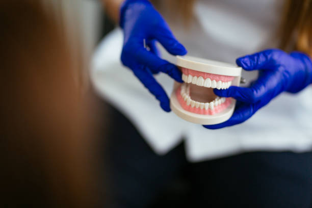 Trusted Benton Harbor, MI  Holistic Dental Services Experts